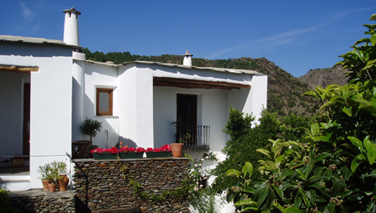 House from the garden